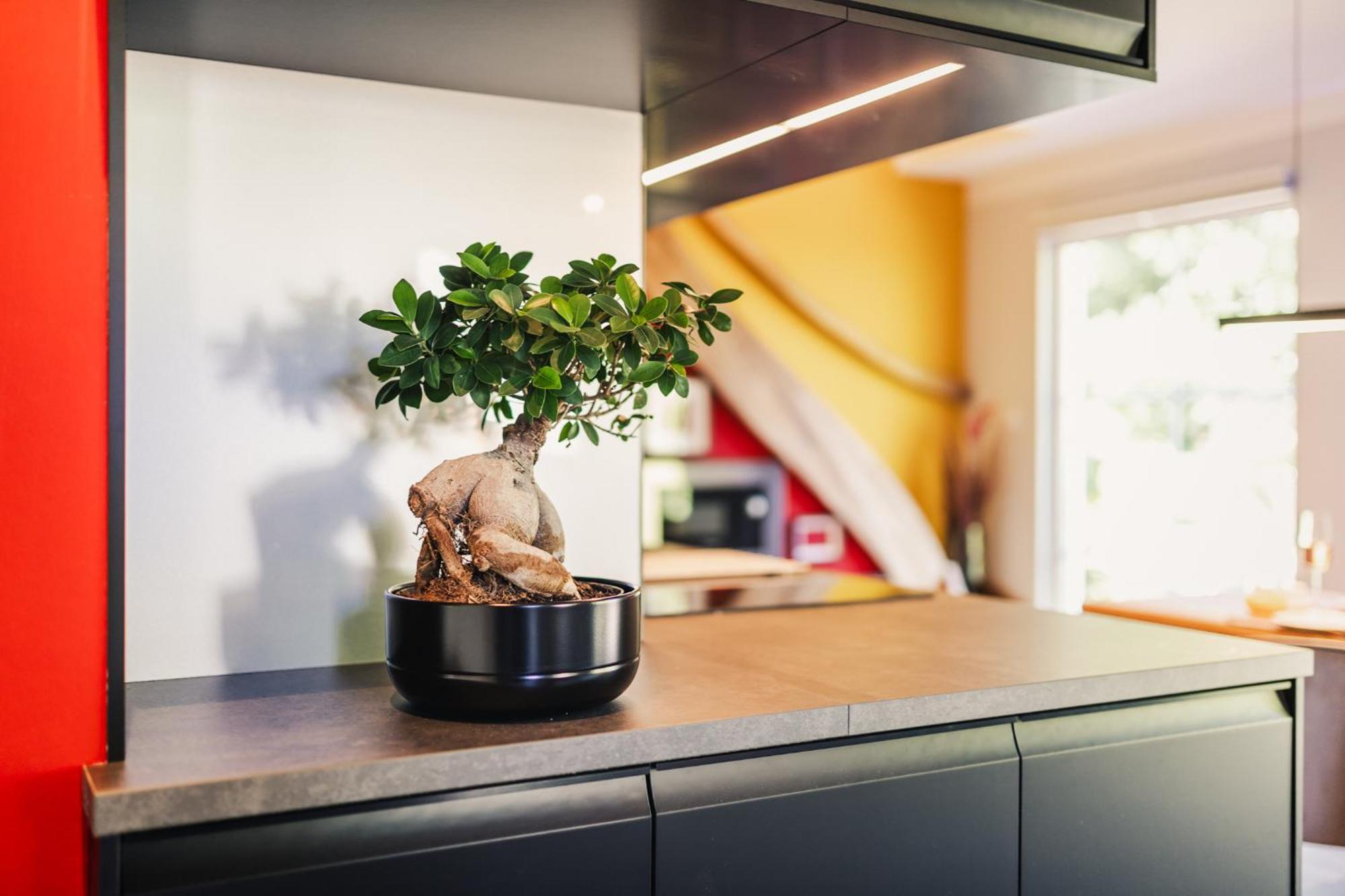 Ferienwohnung "Steernkieker" - Ankommen Und Entspannen Klausdorf Exterior foto
